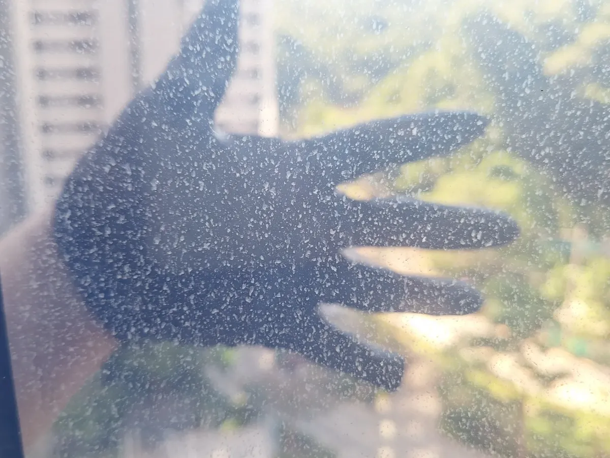 서대문유리창청소 단지 전망 창 작업전 근접해서 보이는 유리 표면의 점 먼지
