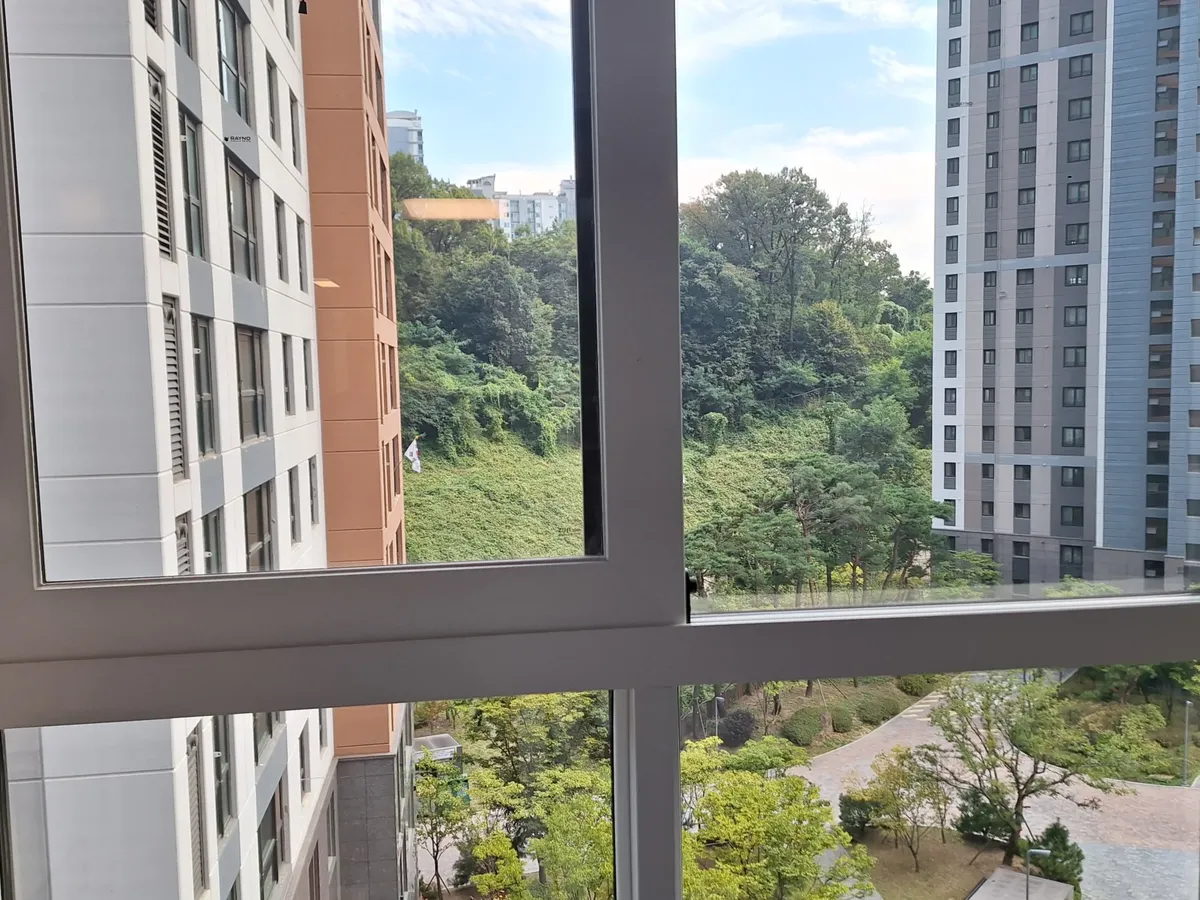 동대문유리창청소 화이트 프레임 창 작업후 나무가 선명하게 보이는 창 전체